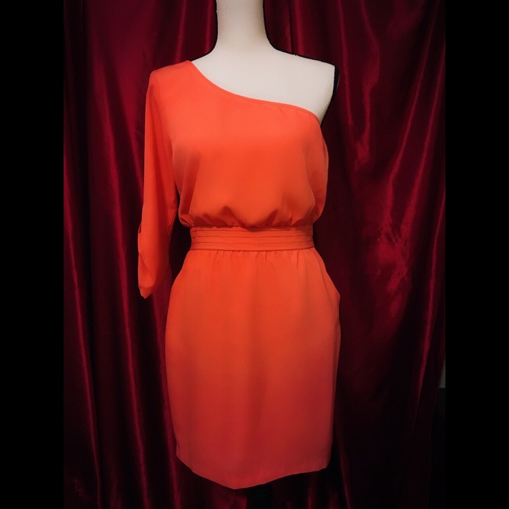 Bebe Dress